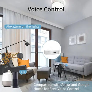 Thermisia Multi-Mode Zigbee Gateway Voice Controlled