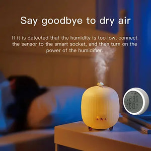 Thermisia Zigbee Smart Humidity Sensor Settings